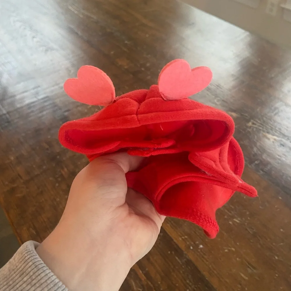 Red Cat Hoodie with Heart Design